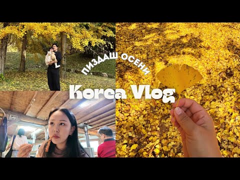 Видео: KOREA VLOG/ Неудачный день / лапшичная с Меган Фокс