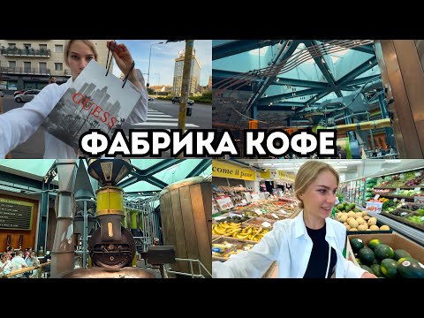 Видео: Что происходит внутри Starbucks Reserve? ☕️ ВПЕРВЫЕ готовлю кефаль🐟 / ВОЗВРАТ Guess🥲