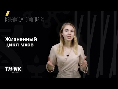 Видео: Жизненный цикл мхов | Биология