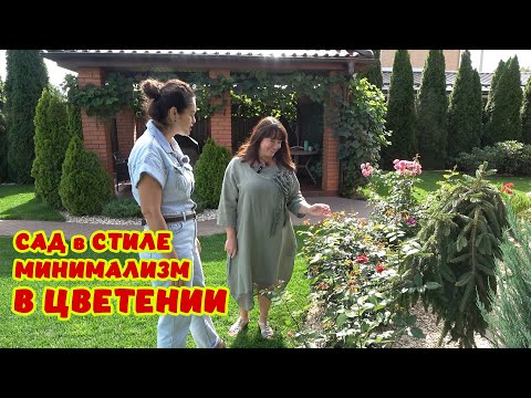 Видео: ИДЕАЛЬНЫЙ САД. Виноград созрел! Гортензии распустились! Сдержанность и пару ярких пятен - БЕСПОДОБНО