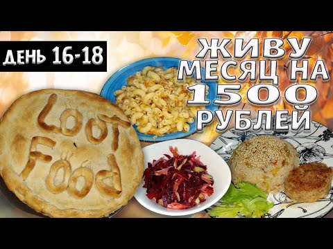 Видео: Выживаю месяц на 1500 рублей. Осень 2024 год. День 16-18.