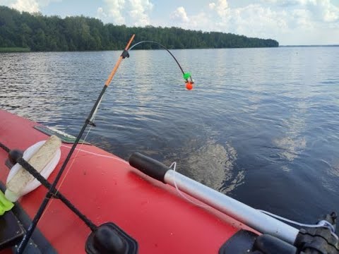 Видео: Рыбалка на кольцо на Волге. Бортовые донки. 26.07.22