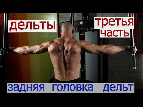 Видео: ЗАДНЯЯ  ДЕЛЬТА , ВСЁ О ТРЕНИРОВКЕ ЗАДНЕЙ ДЕЛЬТЫ