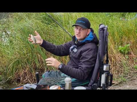 Видео: Ловим на фидер Cadence CR10 12ft Feeder #3 в октябре на Оке.