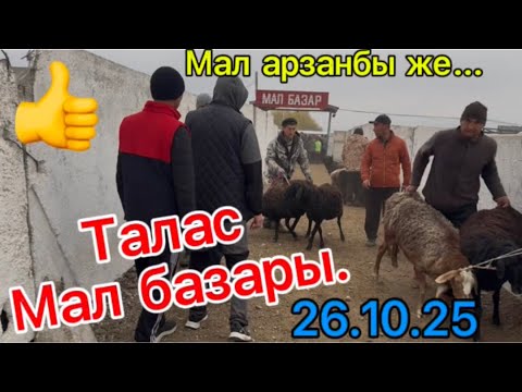 Видео: Талас мал базары 26 октября 2025 г.