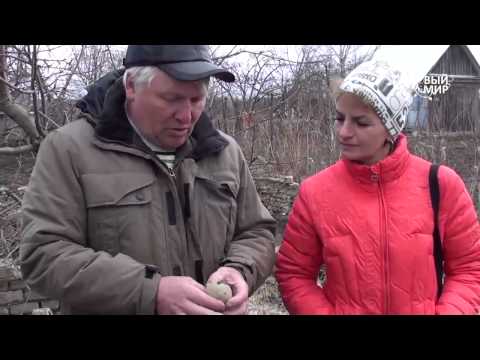 Видео: Как выращивать картофель. Часть 1 Подготовка клубней к посадке