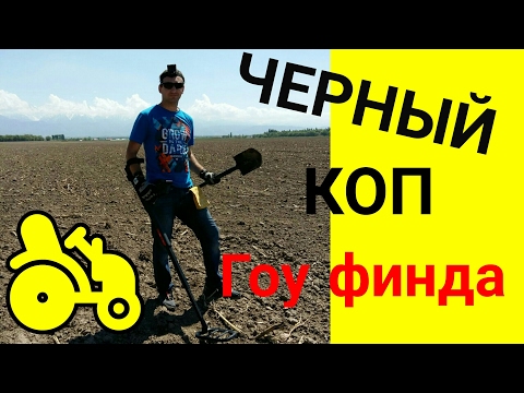 Видео: Чёрный коп с go find в поле