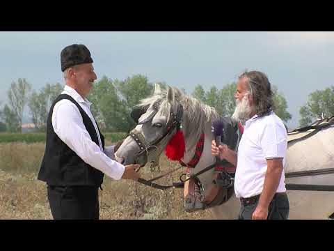 Видео: МОЕ СЕЛО - Село Трн со Перо Цаца (дел 2)