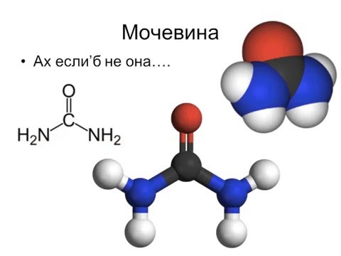 Видео: Синтез и удаление мочевины (почки 7)