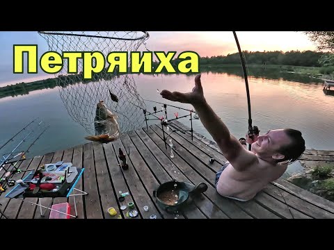 Видео: Петряиха, рыбалка, карп, 2024. Присутствует ненормативная лексика)