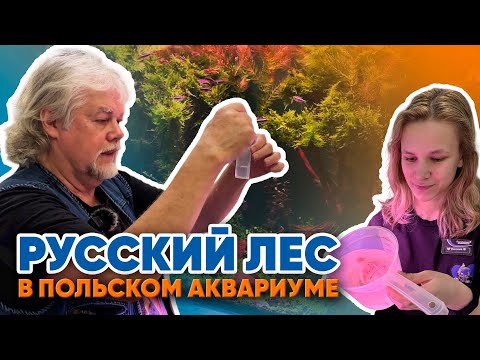 Видео: Аквариумные истории из ЭКЗОМЕНЮ (07.11.2025). Русский лес в польском аквариуме.
