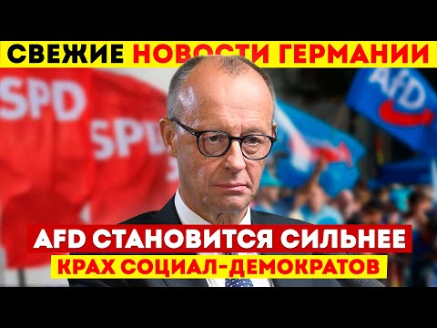 Видео: Провал СДПГ! AfD рвётся к власти, новый глава контрразведки и рост преступности