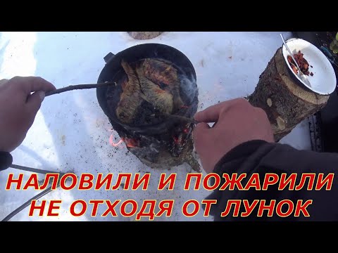 Видео: Из лунки на сковороду. Рыбалка на таёжной реке. День 1.