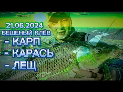 Видео: АҚОРДАНЫҢ МОНСТР БАЛЫҚТАРЫ🎣🦈😱#балыкаулау #fishing #2024 #carp #астана #рыбалка #rek #fyp