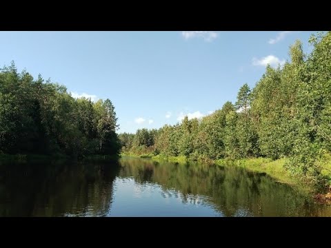 Видео: Сплав по янтарной реке. День 4