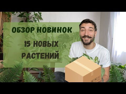 Видео: Большое пополнение коллекции растений. Обзор новых комнатных растений из Голландии ￼