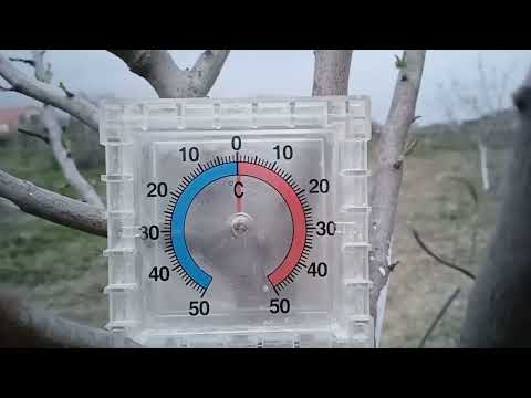 Видео: Как спасти цветущий сад от морозов