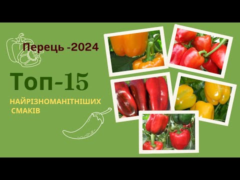 Видео: Топ-15 сортів перцю на 2024 рік