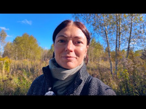 Видео: Ты — то, что ты смотришь