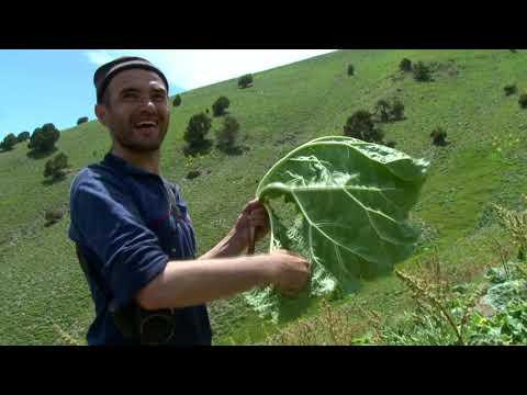 Видео: сайри куххои Вешист кисми 3. а чукрихурия кайф кардем