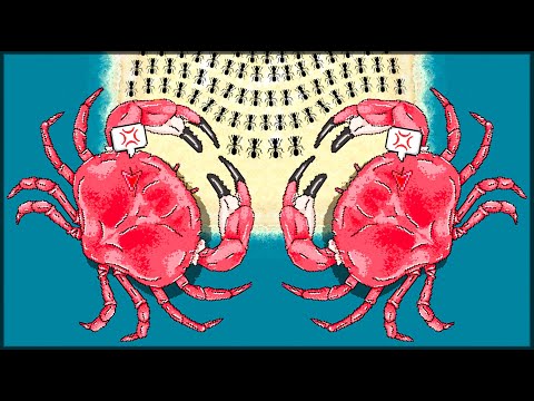 Видео: КРАБОВЫЙ ПЛЯЖ! ПОЛНОЕ ПРОХОЖДЕНИЕ КЛАНОВОГО КООПЕРАТИВА | БОСС КРАБ - Pocket Ants: Симулятор Колонии