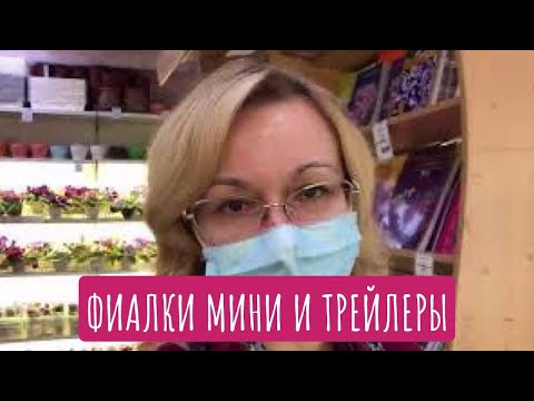 Видео: Фиалки мини и трейлеры. Особенности сортов и нюансы выращивания.Коллекционер Нина Старостенко