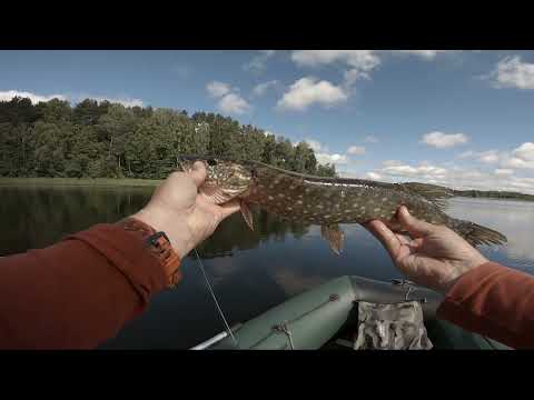 Видео: Поставил Рудру и начал твичить. Щука сошла с ума.