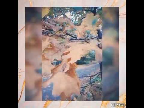 Видео: Ознайомлення з природою ''Восени у парку''