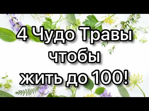 Видео: 4 травяных чая, которые заставят ваши клетки омолодится!