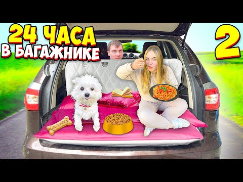 Видео: 24 ЧАСА В БАГАЖНИКЕ С СОБАКОЙ! ВЫПАЛИ ОТ СКОРОСТИ