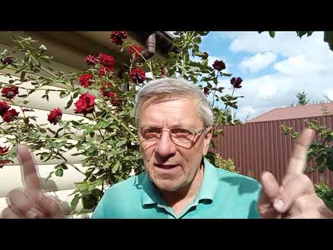 Видео: 6,23,Самодельные щупы осциллографа с гальванической развязкой до 40 В.