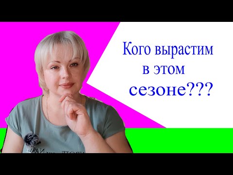 Видео: кого вырастим в этом сезоне