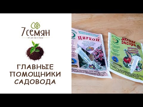 Видео: ЭПИН И ЦИРКОН - ПРЕПАРАТЫ, КОТОРЫЕ ДОЛЖНЫ БЫТЬ У КАЖДОГО САДОВОДА / 7 семян