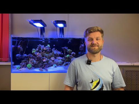 Видео: ПЕРЕЕЗД АКВАРИУМА В БОЛЬШИЙ ОБЪЕМ