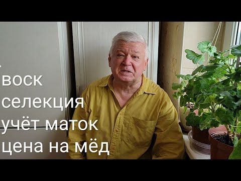 Видео: Очистка воска. Селекция и учет маток на пасеке Измайлова.