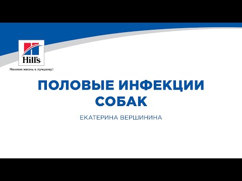 Видео: Вебинар на тему: «Половые инфекции собак». Лектор – Екатерина Вершинина.