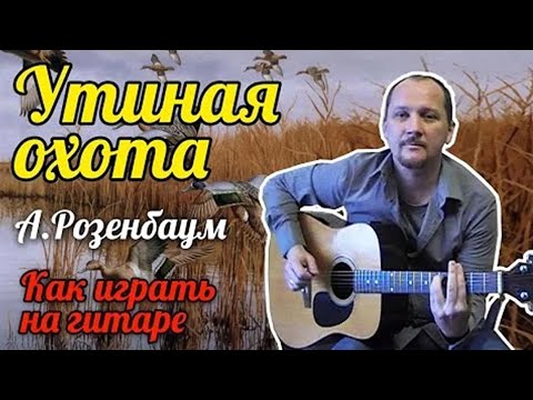 Видео: УТИНАЯ ОХОТА (Я ПОМНЮ ДАВНО УЧИЛИ МЕНЯ ОТЕЦ МОЙ И МАТЬ) УТКИ - А.РОЗЕНБАУМ (КАК ИГРАТЬ НА ГИТАРЕ) 🎸