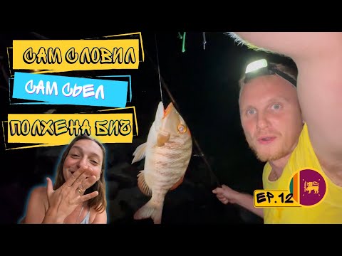 Видео: Как и на что ЛОВИТЬ рыбу на Шри-Ланке ! Лучшее место для Снорклинга ! Полхена бич !Часть № 12