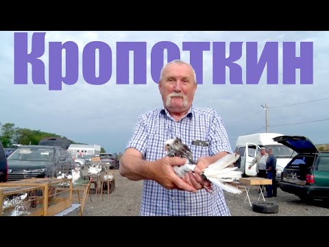 Видео: Птичий рынок. Кропоткин - новое место (Магистральная 1). [29.06.2025]