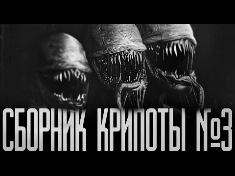 Видео: САМЫЕ СТРАШНЫЕ ИСТОРИИ №3 Страшные истории на ночь.Страшилки на ночь.