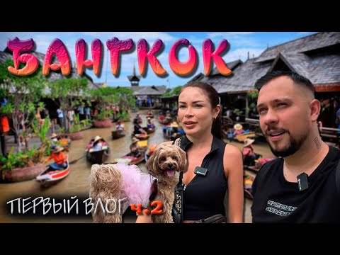 Видео: БАНГКОК 2025 ПУТЕШЕСТВИЕ С СОБАКОЙ  (VLOG 2 ЧАСТЬ)