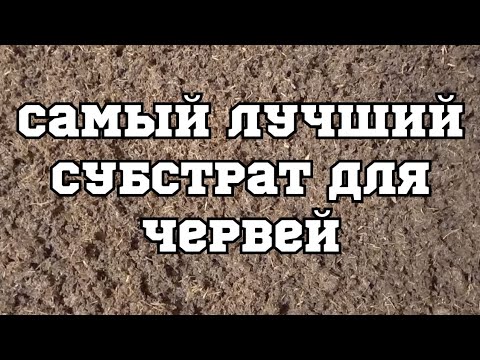 Видео: Сухой биогумус и конский навоз, для червей.