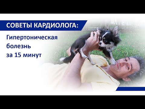 Видео: Советы кардиолога Сергиенко: Гипертоническая болезнь за 15 мин.