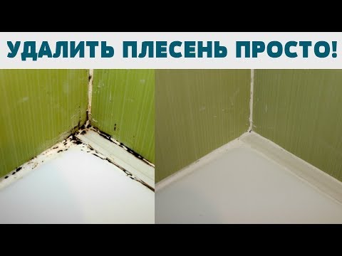 Видео: КАК НАВСЕГДА УБРАТЬ  ПЛЕСЕНЬ ГРИБОК в ванной КАК ОЧИСТИТЬ ШВЫ МЕЖДУ ПЛИТКОЙ УДИВИТЕЛЬНО ПРОСТО