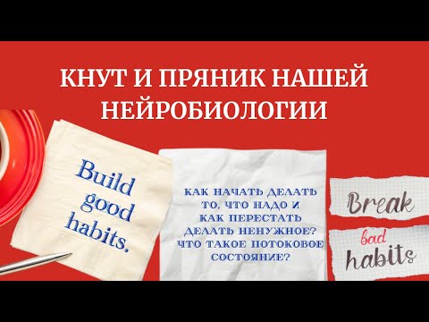 Видео: ЧТО МОТИВИРУЕТ МОЗГ: Кнут и пряник нашей нейробиологии #нейробиология #мозг #поток #коучинг