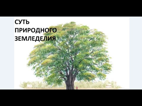 Видео: Суть природного земледелия.