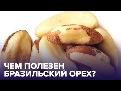 Видео: БРАЗИЛЬСКИЙ ОРЕХ: от каких опасных болезней он может защитить?