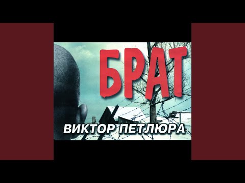 Видео: Посвящается брату