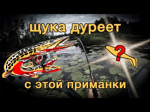 Видео: ЩУКА на неогруз в кувшинках. Рыбалка на пакрафте. Северные реки.