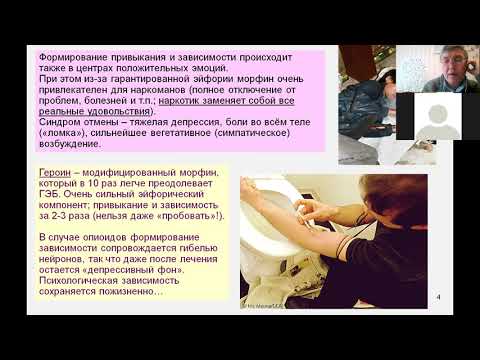 Видео: Дубынин МФК весна 2021 Химия мозга 10 пептиды нейротрофины нейроэндокринная регуляция